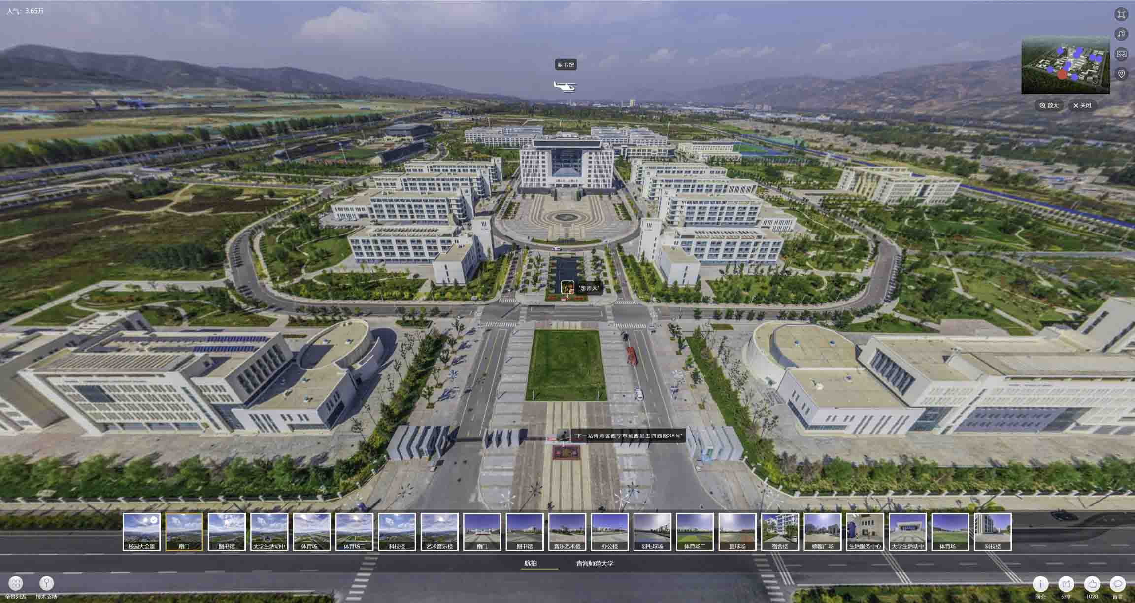 临清油菜花-惊艳半生的花海仙境